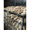 Wholesale Organic Dry Ginger